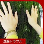 木に触る手